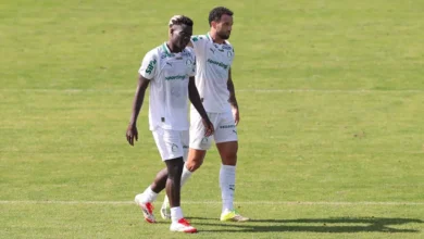 miguel palmeiras