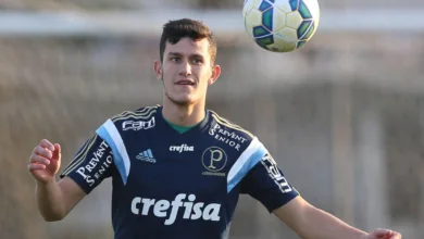 nathan palmeiras