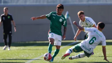 palmeiras