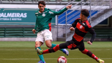palmeiras