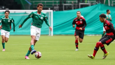 palmeiras