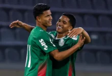 palmeiras