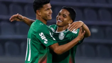 palmeiras