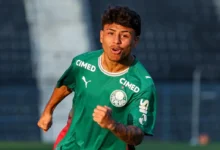 palmeiras