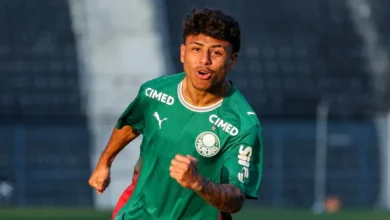 palmeiras