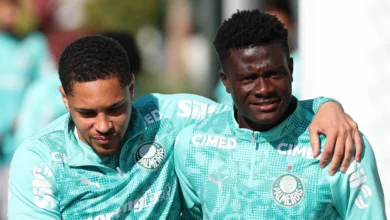 palmeiras