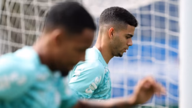 palmeiras