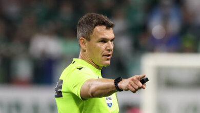 palmeiras