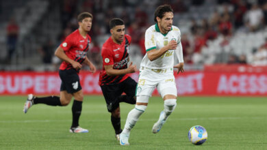 palmeiras