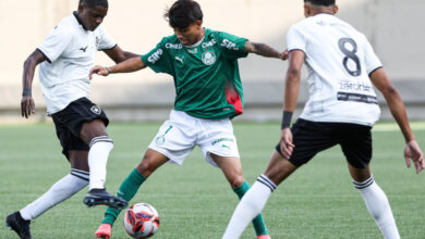 palmeiras x botafogo sub-20