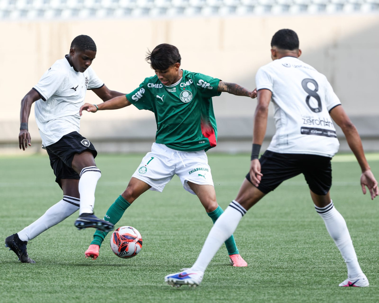 palmeiras x botafogo sub-20