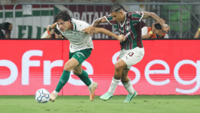 fluminense x palmeiras
